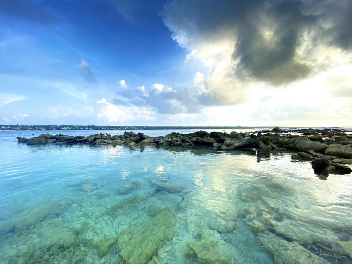 Le Paradis Zen 1Er Etage Et Rdc Vue Plage Et Mer Ste Anne Сент-Анн Экстерьер фото