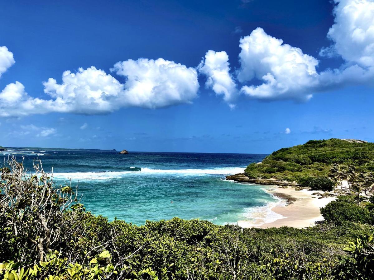 Le Paradis Zen 1Er Etage Et Rdc Vue Plage Et Mer Ste Anne Сент-Анн Экстерьер фото