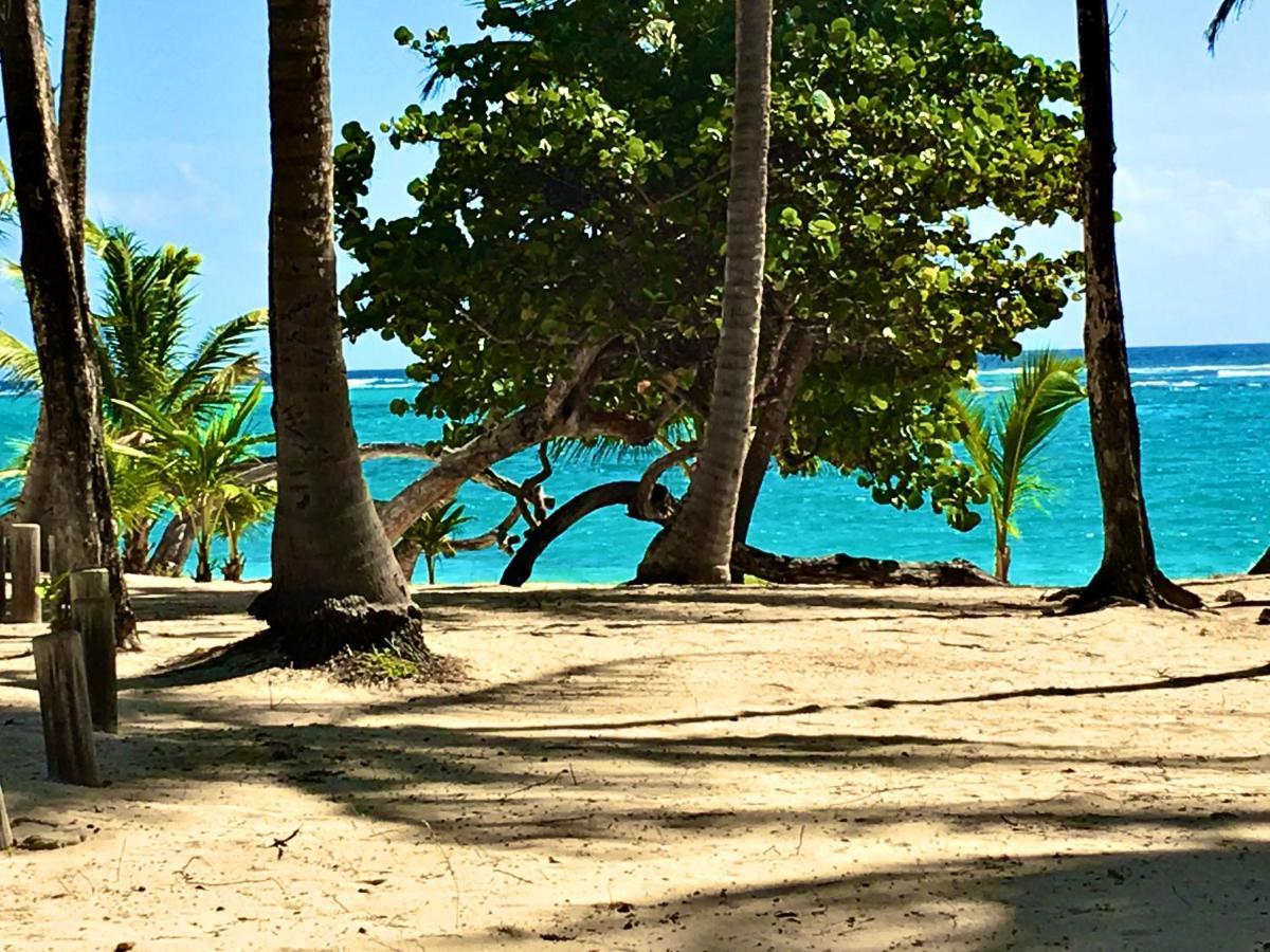 Le Paradis Zen 1Er Etage Et Rdc Vue Plage Et Mer Ste Anne Сент-Анн Экстерьер фото