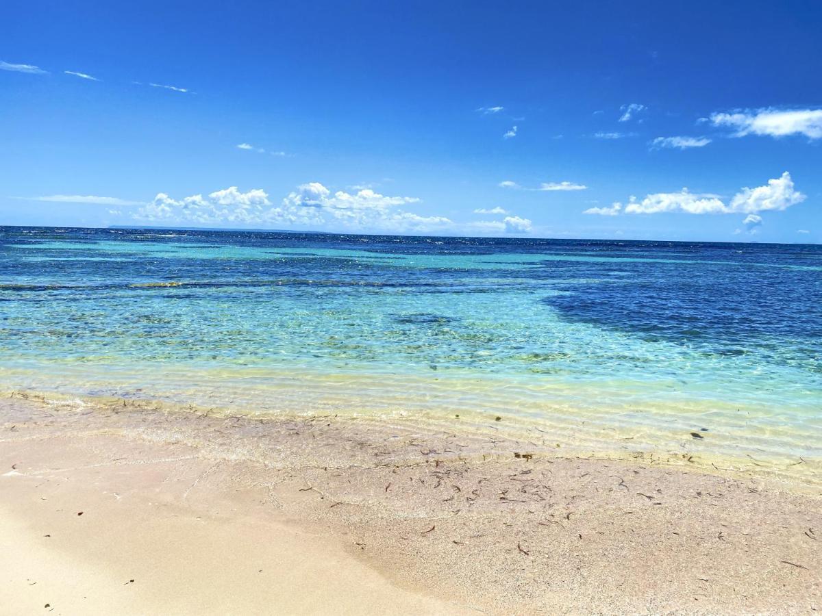 Le Paradis Zen 1Er Etage Et Rdc Vue Plage Et Mer Ste Anne Сент-Анн Экстерьер фото