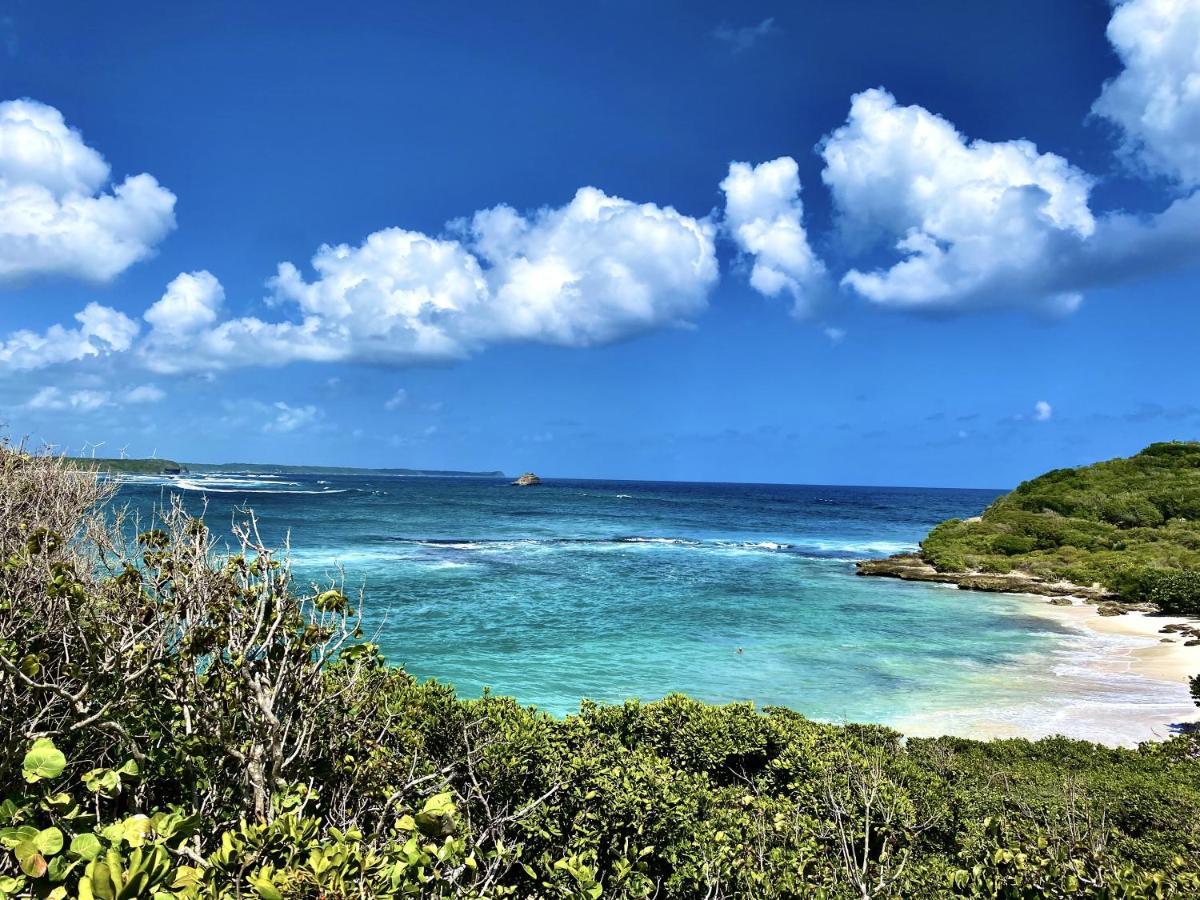 Le Paradis Zen 1Er Etage Et Rdc Vue Plage Et Mer Ste Anne Сент-Анн Экстерьер фото