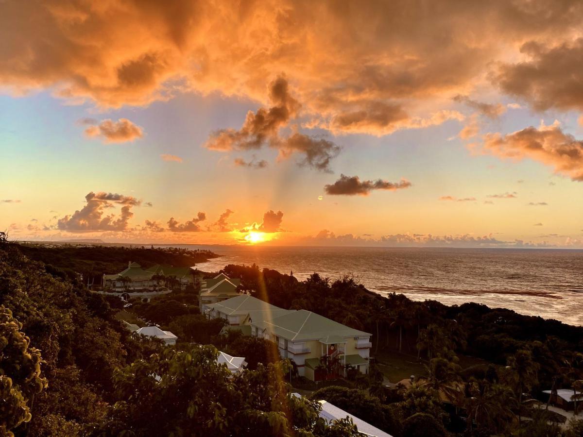 Le Paradis Zen 1Er Etage Et Rdc Vue Plage Et Mer Ste Anne Сент-Анн Экстерьер фото