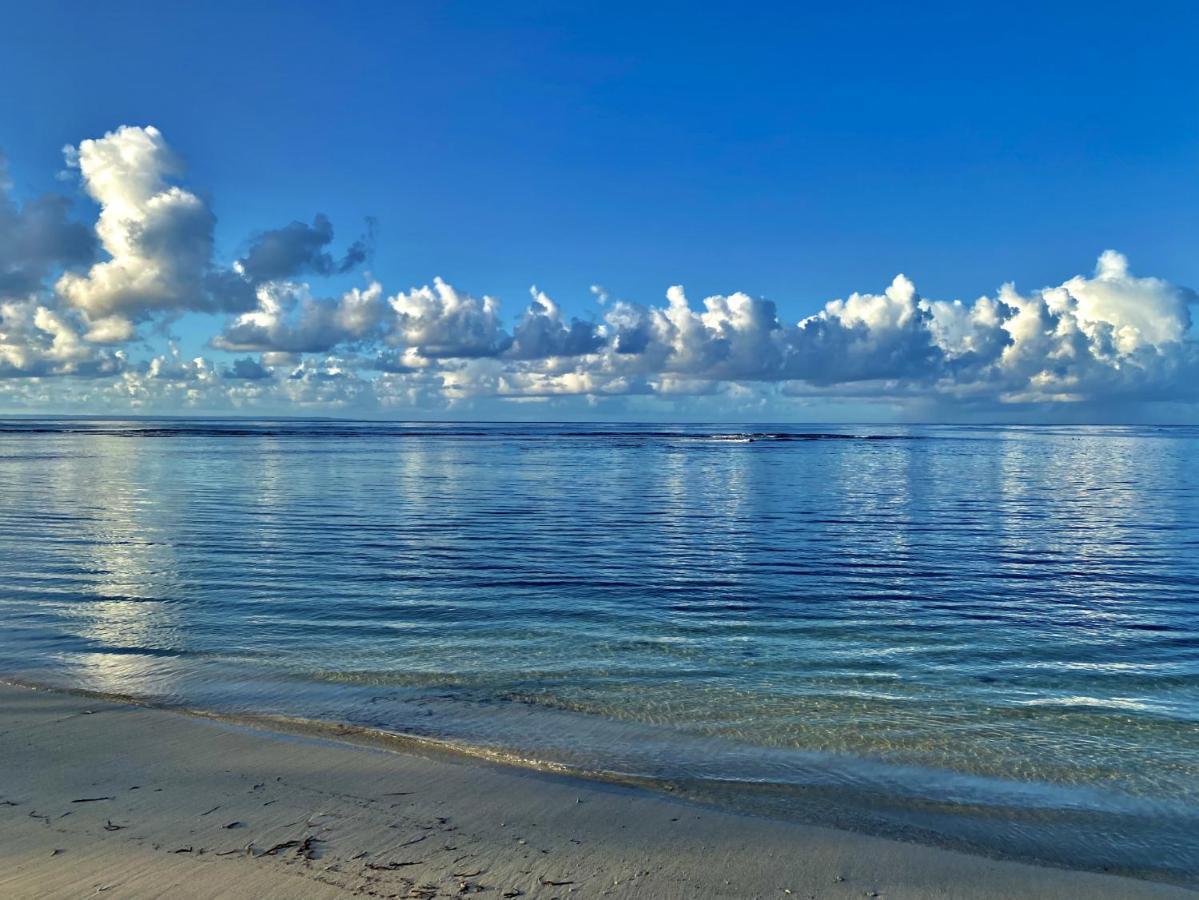 Le Paradis Zen 1Er Etage Et Rdc Vue Plage Et Mer Ste Anne Сент-Анн Экстерьер фото