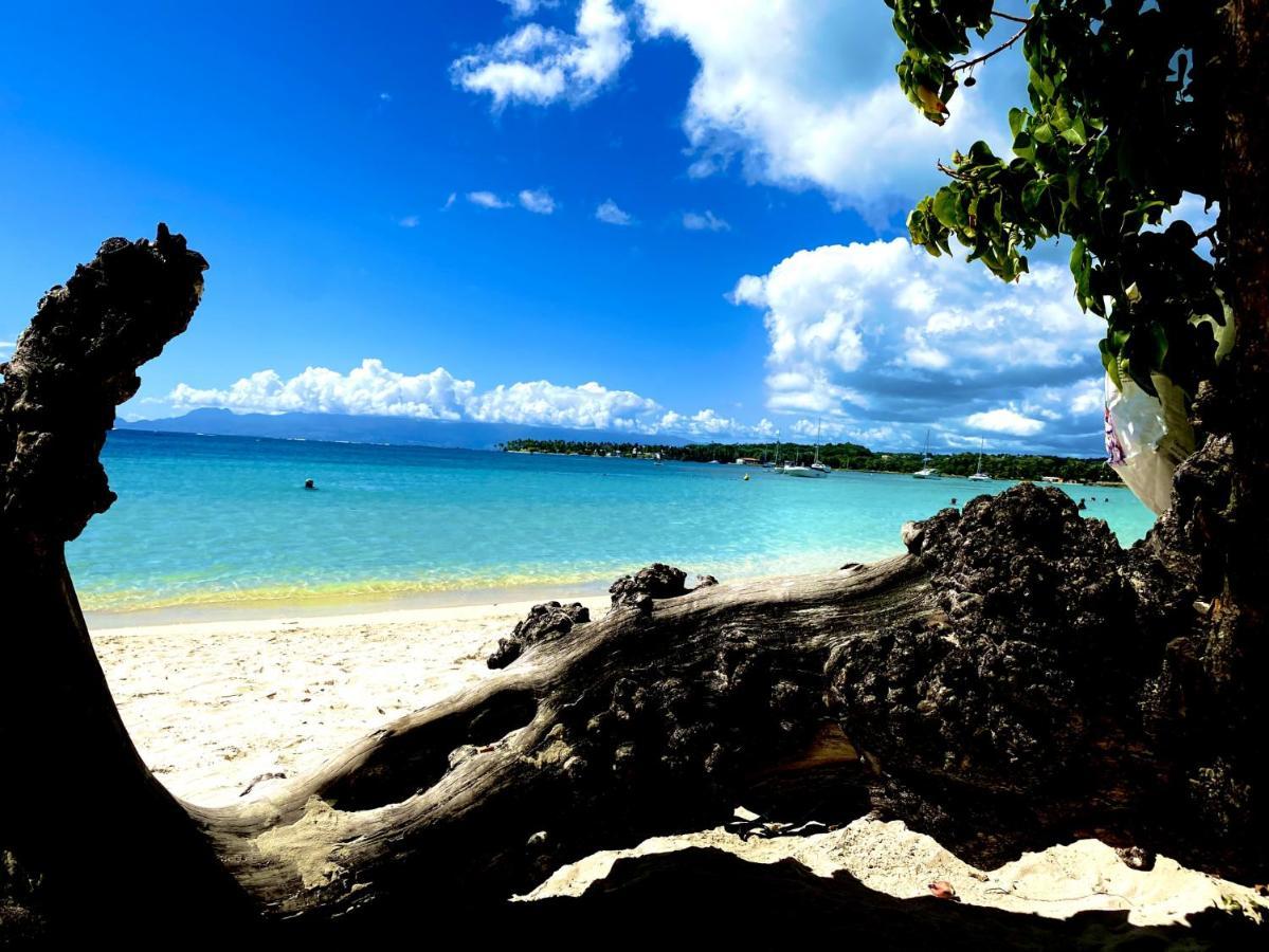 Le Paradis Zen 1Er Etage Et Rdc Vue Plage Et Mer Ste Anne Сент-Анн Экстерьер фото